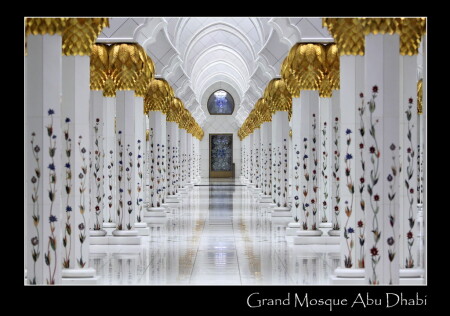 White &amp;amp; Gold