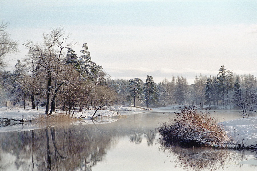 Уже зима