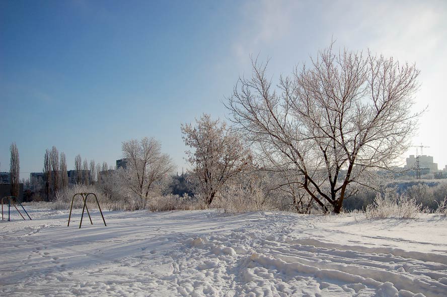 Январь. Прогулка.