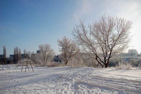 Январь. Прогулка.