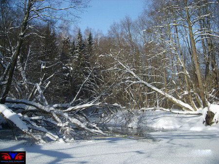 Зимняя речка