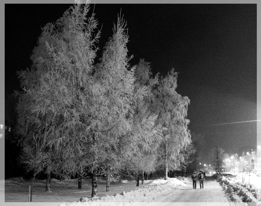 романтика ночного города