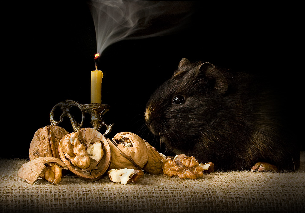  Mouse and Candle