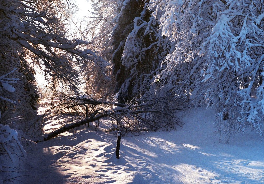 Не ступала нога человека