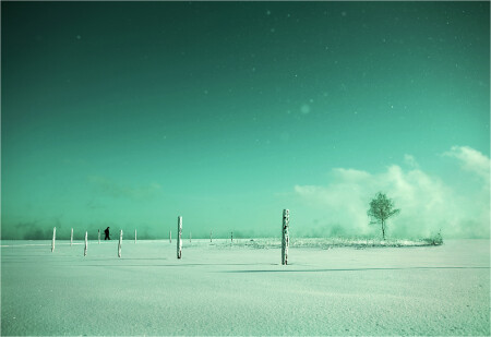 Polehenge