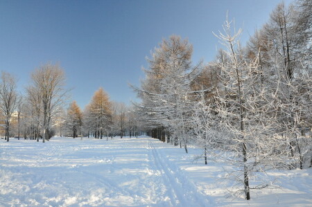 Зима в Москве
