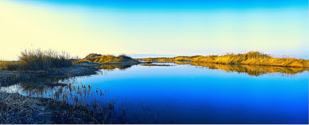 Верховье Или