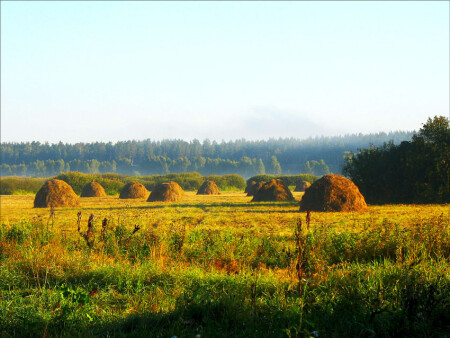 Утреннее