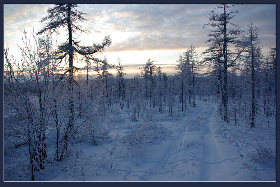 Заметённая колея