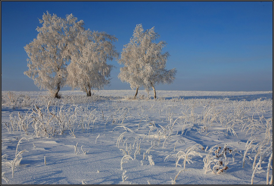 Замерзшаяя степь