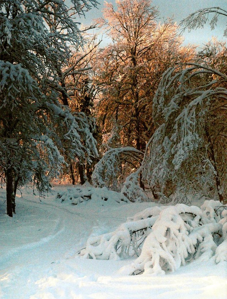 Там спрятался свет