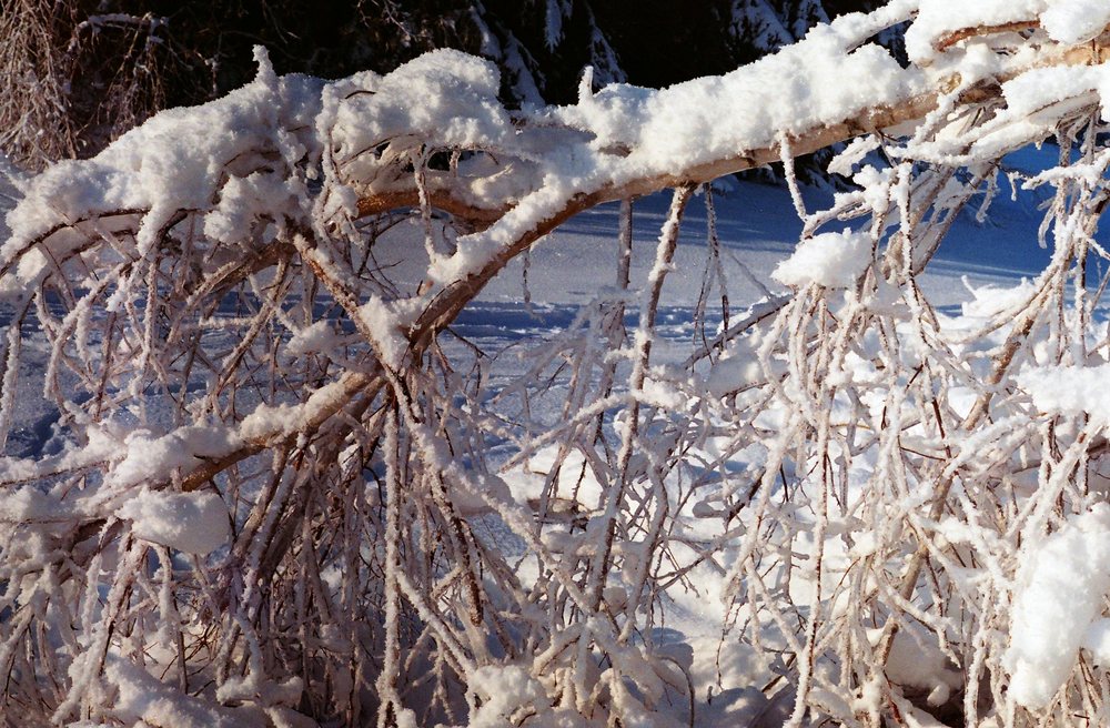 Перегородило дорогу