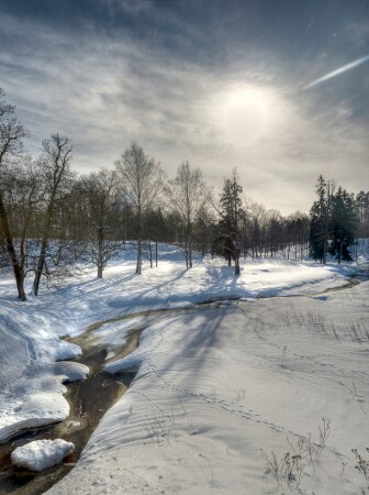 Мороз и солнце