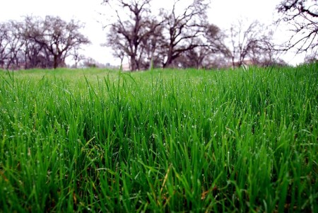 Скоро весна...