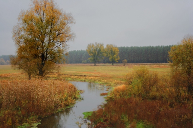 Осенняя акварель