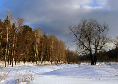 Мартовский денёк.