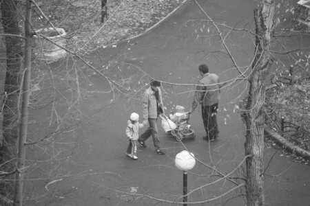 Детки и предки