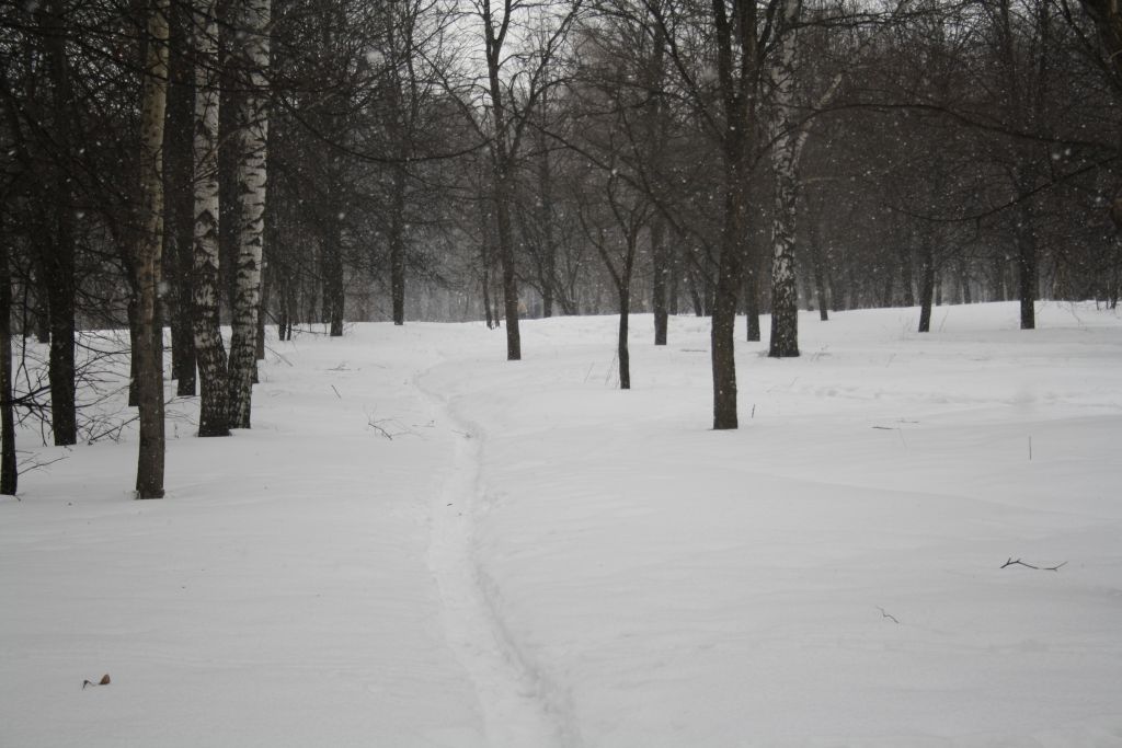 Тропинка в ни куда...