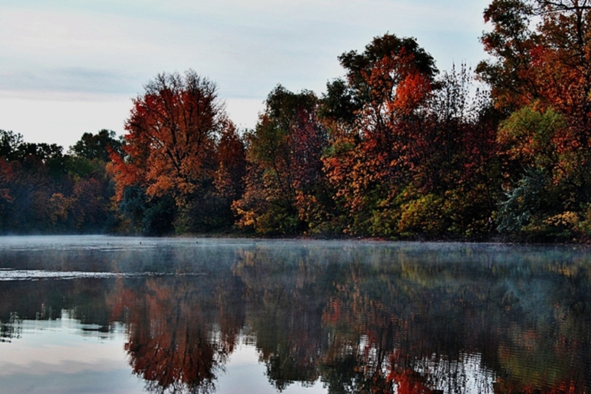 Осени раннее утро... Autumn early morning