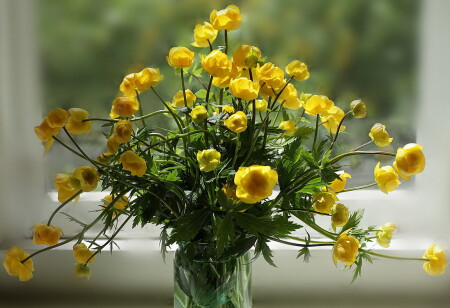 Купальницы