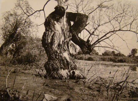 Где шлялсЯ?!