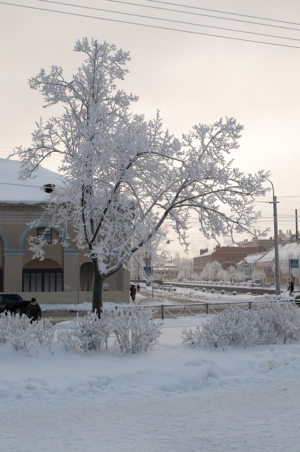 Морозное утро