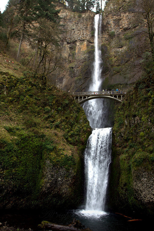 Multnomah Falls, Oregon, USA