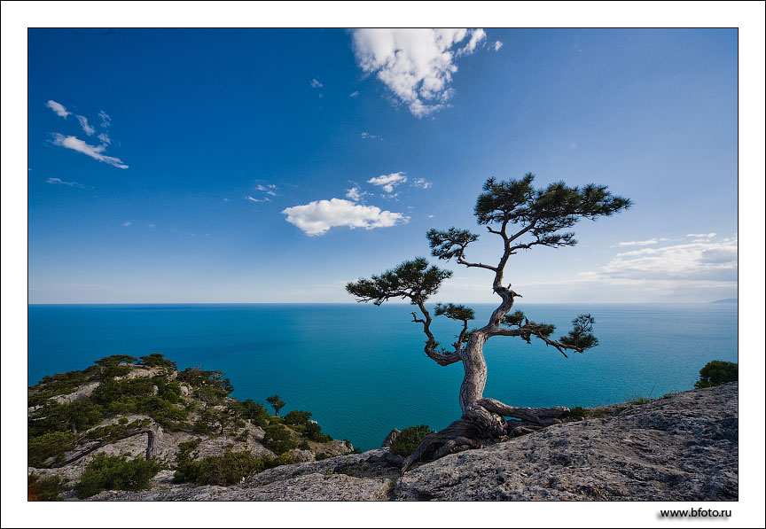 Синее бескрайнее море