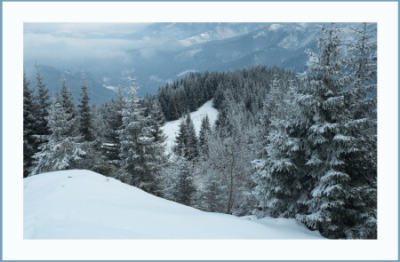 Ещё немного настоящей зимы...