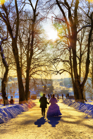 Навстречу Солнцу!