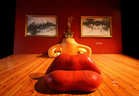 S.Dali