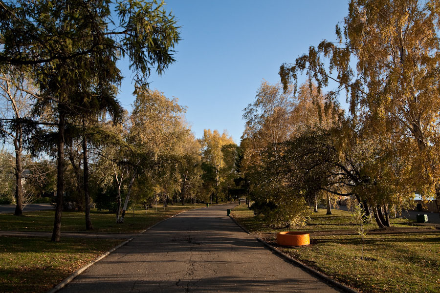 Осень в городе