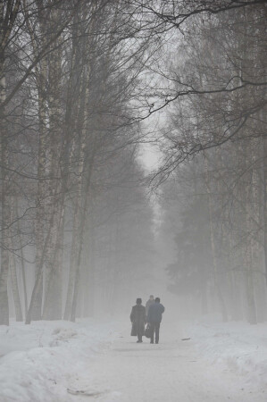 Туманный день