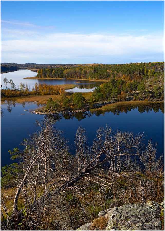 Осеннее безмолвие