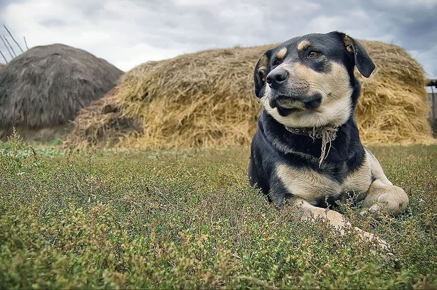 Гранит