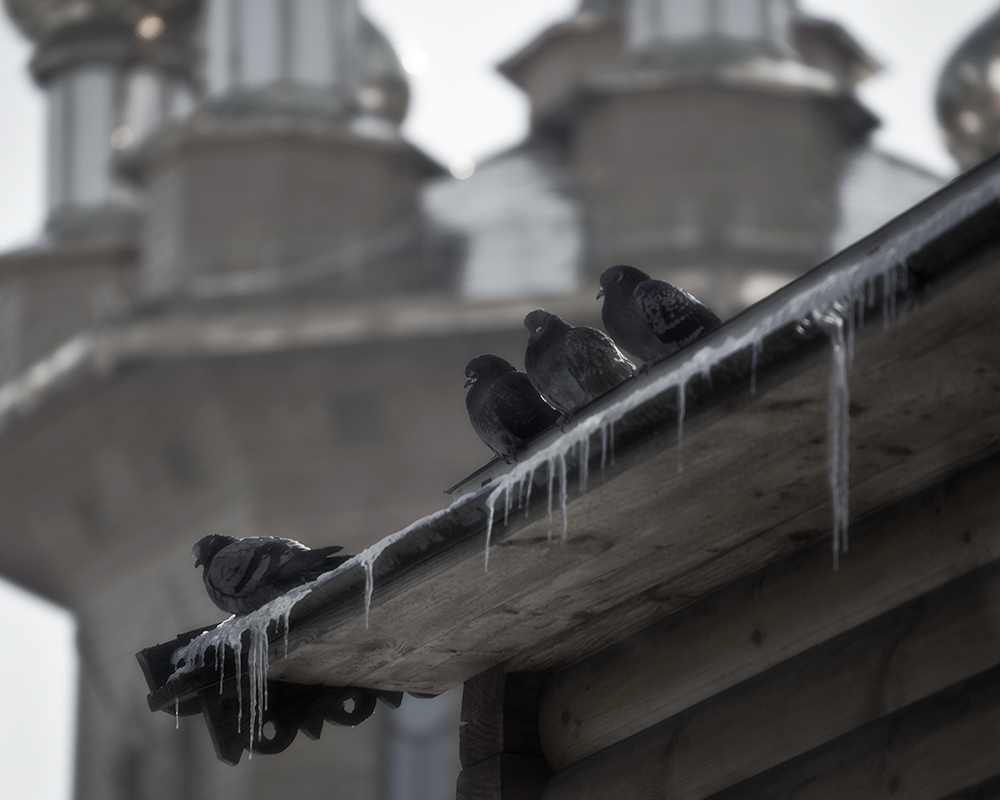 Приобщаясь к духовному