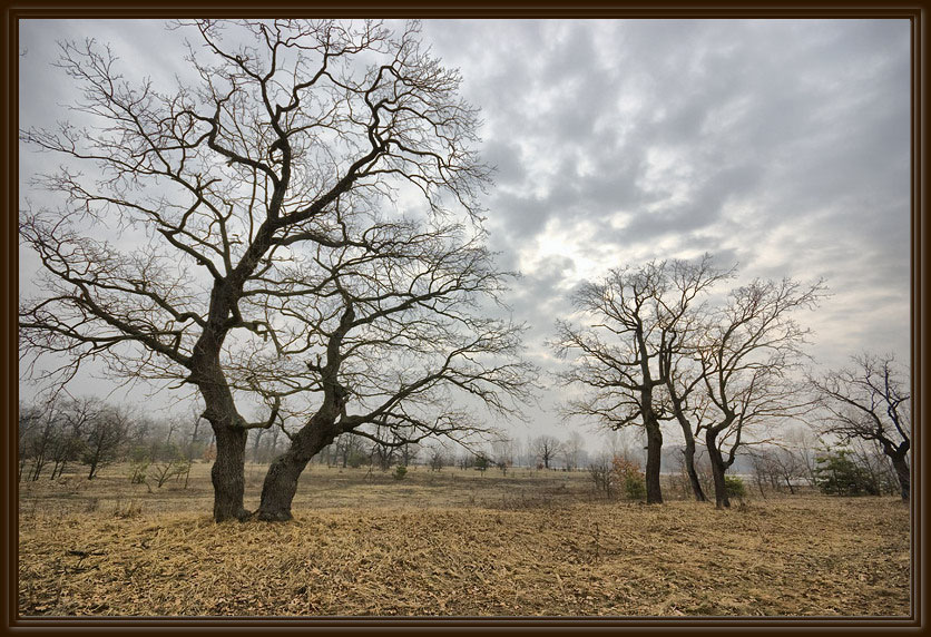 Утро 29.03.2010