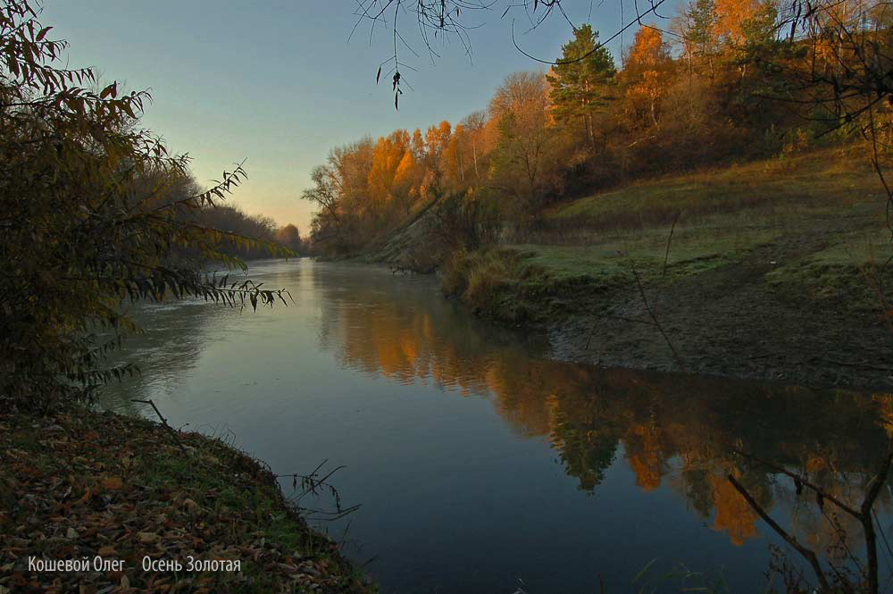 осень золотая