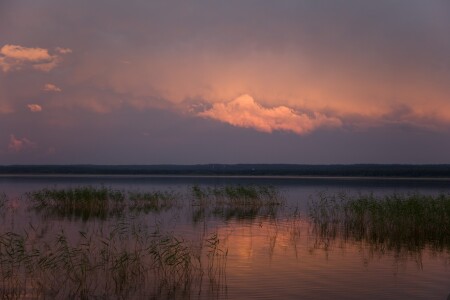 Лосево. Закат