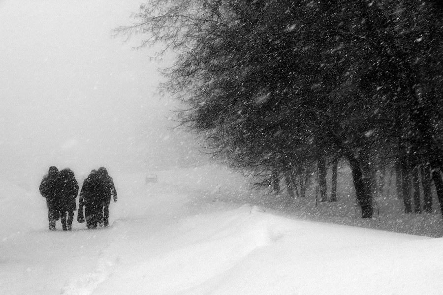 в метель...