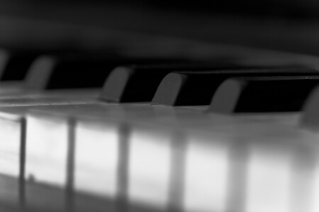 Black&amp;amp;White music