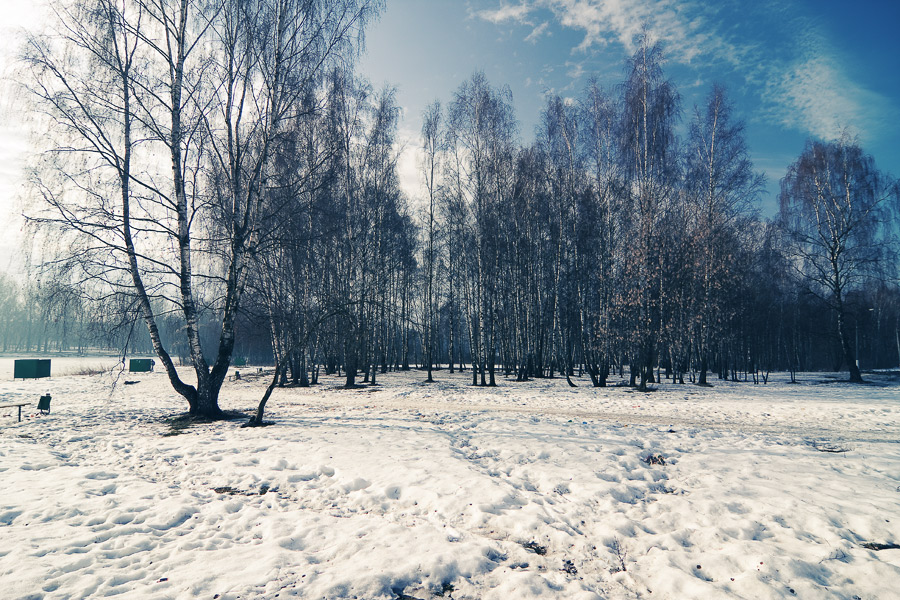 Поздним утром