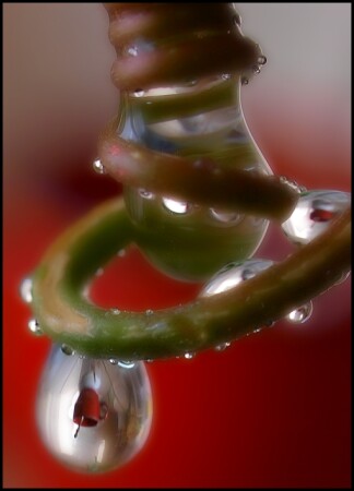 &amp;quot;Лампочка&amp;quot;:)