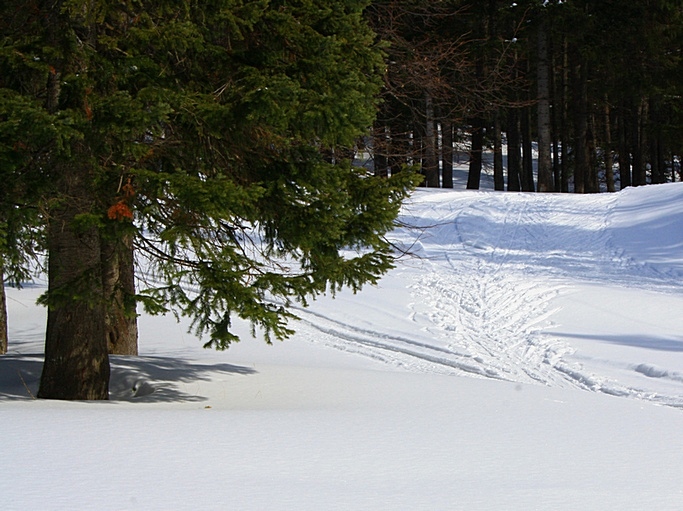 Весенняя лыжня