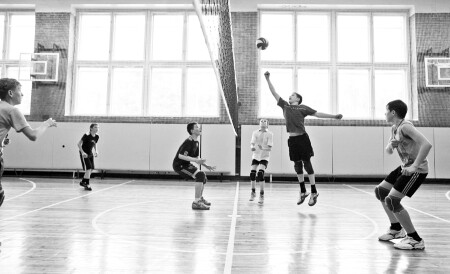 Танец маленьких лебедят