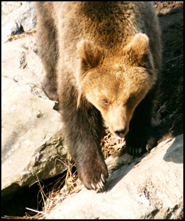 и мы проснулись)