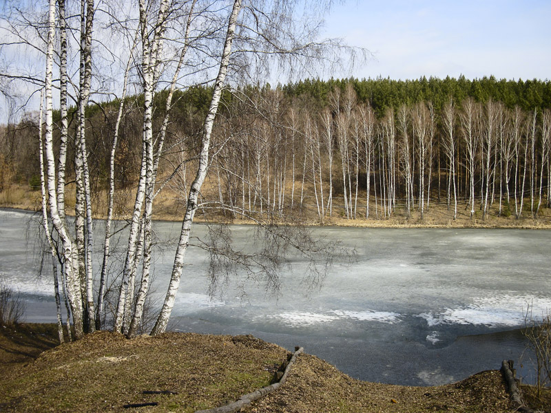 весенние зарисовки