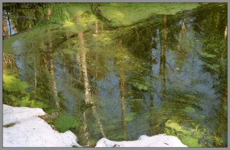 Старое зеркало