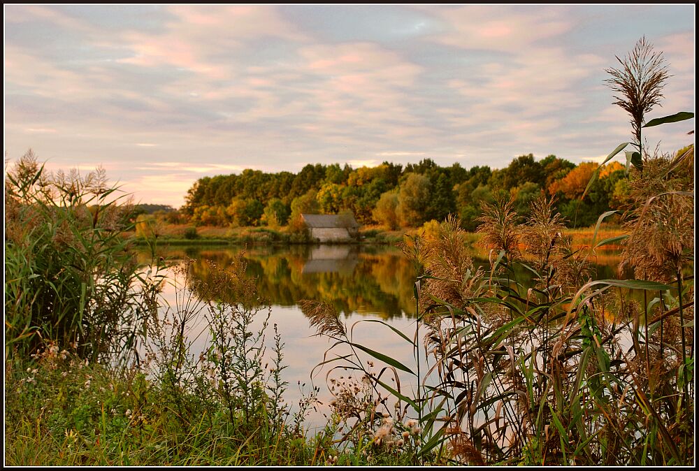 Осенние мотивы