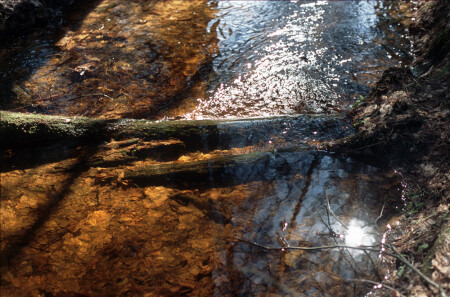 Волшебные ручьи